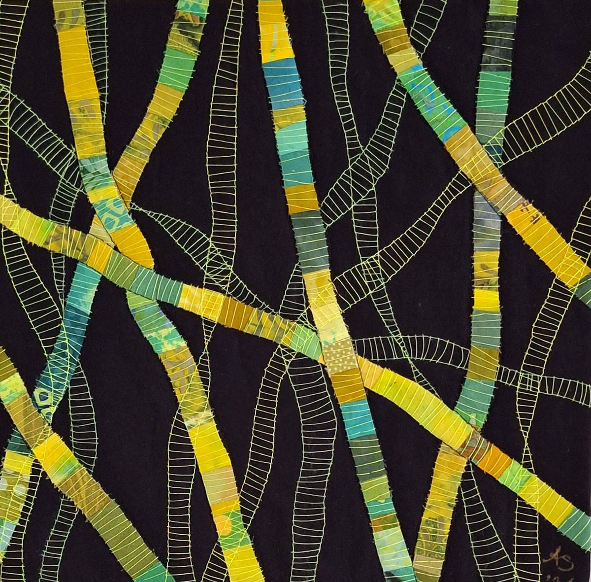 Spirogyra